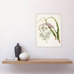 "Artery8 Totorowhiti Turpentine Scrub Flowers Featon Wall Art Poster Print in Beige - Size: W12"" x H16""" - thumbnail 4