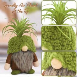 Obasyhig Rudolph Succulent Figurine Christmas Decoration in Green - thumbnail 5