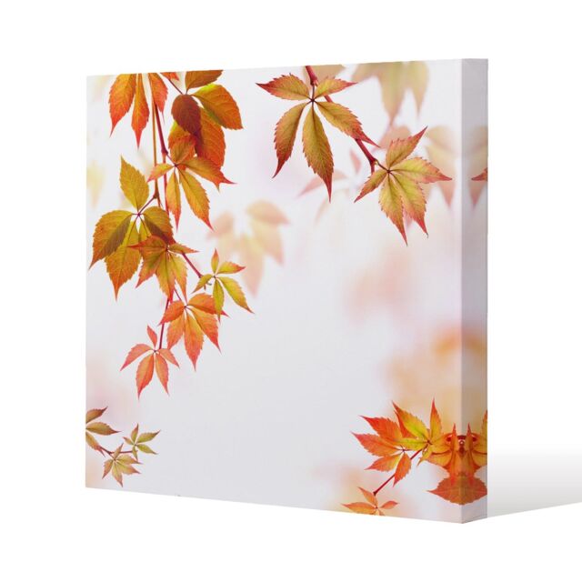 Benjamin Tate Design Autumn Leaves (Canvas Print) / 90 x 90 x 4cm in Natural - Size: 90 x 90 x 4 cm - image 1