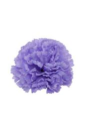 KDMD Essential Carnation Pick Lavender Box of 144