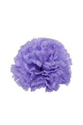 KDMD Essential Carnation Pick Lavender Box of 144 - thumbnail 2