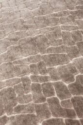 Paoletti Bloomsbury Soft Cut Velvet Piped Cushion in Taupe - Size: 50 cm x 50 cm - thumbnail 4