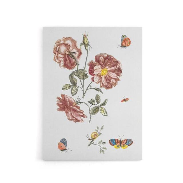 "Artery8 Rose Flowers Butterflies & a Snail Teyler Canvas Wall Art in White - Size: W18"" x H24""" - image 1