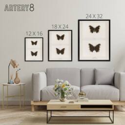 "Artery8 Mourning Cloak Butterfly Sherman Denton Framed Canvas Wall Art Print in White - Size: W12"" x H16""" - thumbnail 4