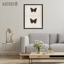 "Artery8 Mourning Cloak Butterfly Sherman Denton Framed Canvas Wall Art Print in White - Size: W12"" x H16""" - thumbnail 3