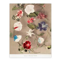 Artery8 Ogawa Kazumasa Framed Wall Art Print Group Of Morning Glories - Size: A4 - thumbnail 3