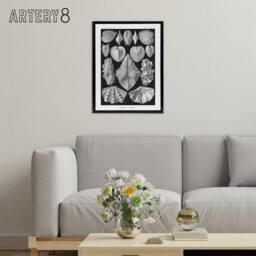 "Artery8 Mollusks Clams Oysters Haeckel Botanical Black Framed Canvas Wall Art - Size: W12"" x H16""" - thumbnail 3