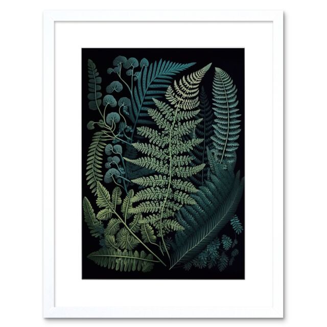 "Artery8 Wall Art Print Leaf Fern Fronds Ernst Haeckel Style Artwork Framed 9X7 Inch in White - Size: W7"" x H9""" - image 1