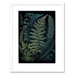 "Artery8 Wall Art Print Leaf Fern Fronds Ernst Haeckel Style Artwork Framed 9X7 Inch in White - Size: W7"" x H9""" - thumbnail 1