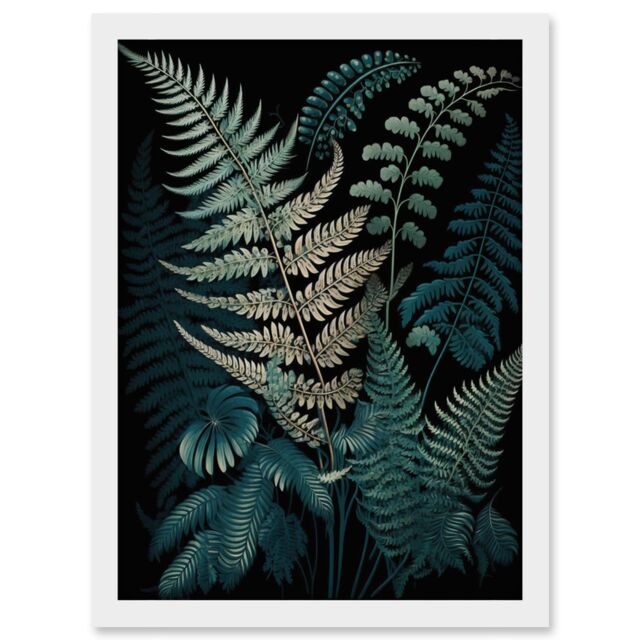 Artery8 Fern Frond Detailed Botanical Species Illustration Artwork Framed Wall Art Print A4 in White - image 1