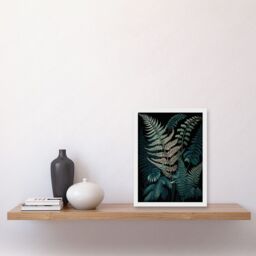 Artery8 Fern Frond Detailed Botanical Species Illustration Artwork Framed Wall Art Print A4 in White - thumbnail 2