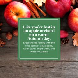 Premier Decorations Scentsicles Scentfetti Wax Melt Warmer - Autumn Apples in Red - thumbnail 4