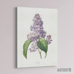 "Artery8 Lilac Floral Illustration Redoute Vintage Canvas Wall Art in White - Size: W18"" x H24""" - thumbnail 2