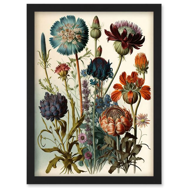 Artery8 Vintage Botanical Illustration Ernst Haeckel Inspired Plant Study Modern Watercolour Painting Artwork Framed Wall Art Print A4 in Black - image 1