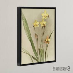 "Artery8 F Sander Spathoglottis Kimballiana Orchid Flowers Framed Canvas Art - Size: W12"" x H16""" - thumbnail 2