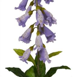 Lemon Pavilion Furniture and Decor Natural Garden Collection Mauve Foxglove, Single Stem Flower, H11cm in Purple - thumbnail 2