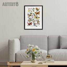 "Artery8 Paul Gervais Moths Butterflies & Morning Glory Framed Canvas Art in White - Size: W12"" x H16""" - thumbnail 3