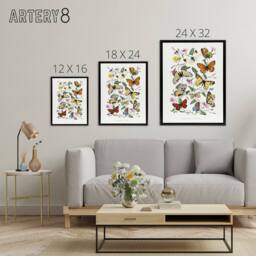 "Artery8 Paul Gervais Moths Butterflies & Morning Glory Framed Canvas Art in White - Size: W12"" x H16""" - thumbnail 4