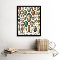 "Artery8 Millot Encyclopedia Page Variety Eggs Ova 12x16"" Framed Wall Art Print - Size: W12"" x H16""" - thumbnail 2