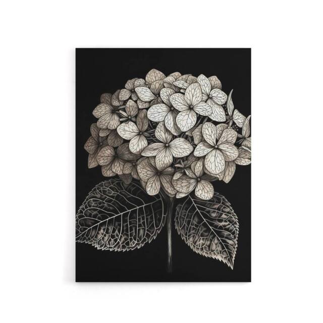 "Artery8 Hydrangea Flower Bloom Black White Canvas Wall Art Print in Grey - Size: W18"" x H24""" - image 1