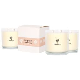 Nicola Spring 3x 400g Soy Wax Scented Candles - Tropical Sunrise Aromatherapy Jar Candle in Clear