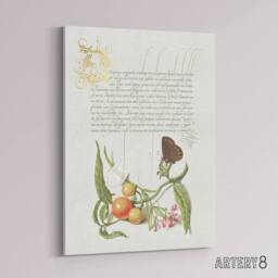 "Artery8 Butterfly Cherries & Milkwort Calligraphy Canvas Wall Art Print in White - Size: W12"" x H16""" - thumbnail 2