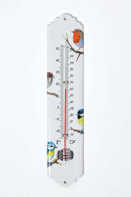 Homescapes Outdoor Thermometer with Bird Design in White - image 1