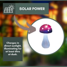 Marco Paul Solar Mushroom Garden Ornament - Purple - thumbnail 3