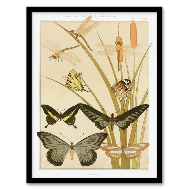 Artery8 Maurice Pillard Verneuil Framed Wall Art Butterflies & Dragonflies in Khaki - Size: A4 - image 1