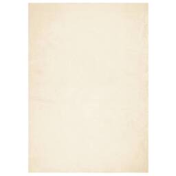 Berkfield Home Rug HUARTE Short Pile Soft & Washable Cream 200x280 cm - Size: Medium - thumbnail 3
