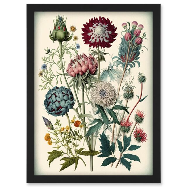 Artery8 Ernst Haeckel Style Vintage Botanical Plant Study Modern Watercolour Painting Illustration Artwork Framed Wall Art Print A4 in Black - image 1