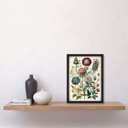 Artery8 Ernst Haeckel Style Vintage Botanical Plant Study Modern Watercolour Painting Illustration Artwork Framed Wall Art Print A4 in Black - thumbnail 2