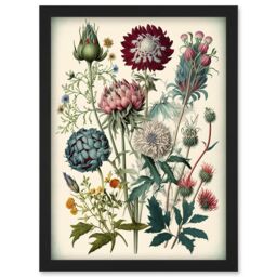 Artery8 Ernst Haeckel Style Vintage Botanical Plant Study Modern Watercolour Painting Illustration Artwork Framed Wall Art Print A4 in Black - thumbnail 1