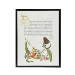 "Artery8 Butterfly Cherries & Milkwort Calligraphy Framed Canvas Wall Art in White - Size: W12"" x H16""" - thumbnail 1
