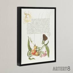 "Artery8 Butterfly Cherries & Milkwort Calligraphy Framed Canvas Wall Art in White - Size: W12"" x H16""" - thumbnail 2