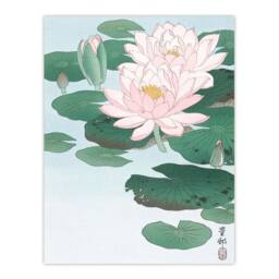 Artery8 Ohara Koson Framed Wall Art Print Water Lily Pads Pink Flower Bloom - Size: A4 - thumbnail 3