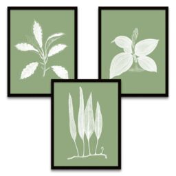 "Wee Blue Coo Wall Art Print Botanics White Green Leaves Ferns Nature Black Framed Poster Pack of 3 - Size: W12"" x H16""" - thumbnail 2