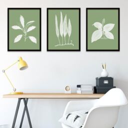 "Wee Blue Coo Wall Art Print Botanics White Green Leaves Ferns Nature Black Framed Poster Pack of 3 - Size: W12"" x H16""" - thumbnail 3