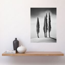 Artery8 Wall Art Print Group of Cypress Trees on Snowy Hill Minimalist Black & White Photograph Cypresses in Foggy Winter Landscape Poster - thumbnail 2