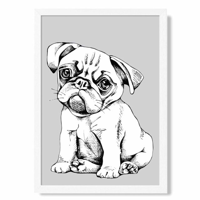 ARTZE Sketch Pug Dog on Light Grey Framed Print SIZE: A2 with White Frame - Size: A4 - image 1