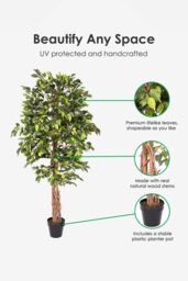 Homescapes Luxury 6ft Ficus Tree Artificial Plant, Real Stem, Black Pot, 180cm in Green - thumbnail 2
