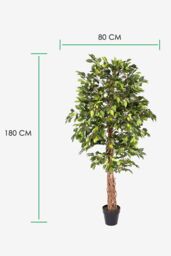 Homescapes Luxury 6ft Ficus Tree Artificial Plant, Real Stem, Black Pot, 180cm in Green - thumbnail 4