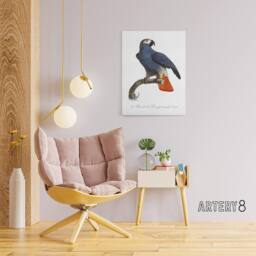 "Artery8 The Grey Parrot Illustration Levaillant Canvas Wall Art Print in White - Size: W12"" x H16""" - thumbnail 3