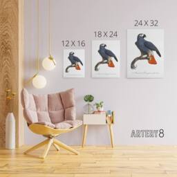 "Artery8 The Grey Parrot Illustration Levaillant Canvas Wall Art Print in White - Size: W12"" x H16""" - thumbnail 4