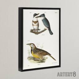 "Artery8 James De Kay Belted Kingfisher & Meadow Lark Framed Canvas Art Print in White - Size: W12"" x H16""" - thumbnail 2