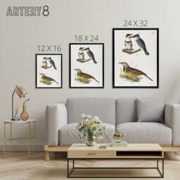 "Artery8 James De Kay Belted Kingfisher & Meadow Lark Framed Canvas Art Print in White - Size: W12"" x H16""" - thumbnail 4