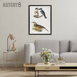 "Artery8 James De Kay Belted Kingfisher & Meadow Lark Framed Canvas Art Print in White - Size: W12"" x H16""" - thumbnail 3