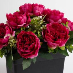 Scottish Everlastings Ltd Dark Pink Peony UV Trough - thumbnail 2