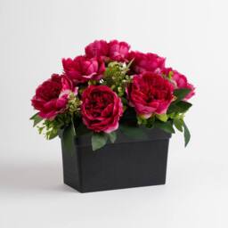 Scottish Everlastings Ltd Dark Pink Peony UV Trough - thumbnail 3