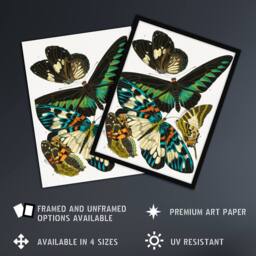 "Artery8 Butterflies Green Blue Vintage Wall Art Print Eugene Seguy - Size: W12"" x H16""" - thumbnail 2